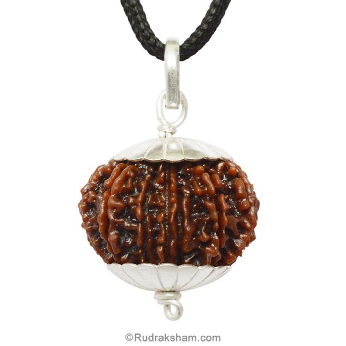 rudraksha rudraksha