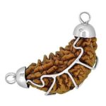 rudraksha